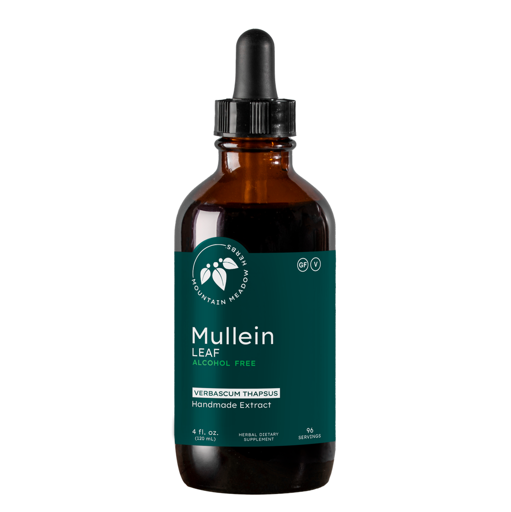 Mullein Leaf Extract (4 oz.)